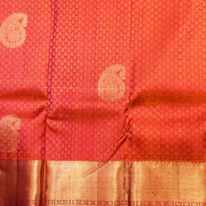 Citrus Lily - Image 5