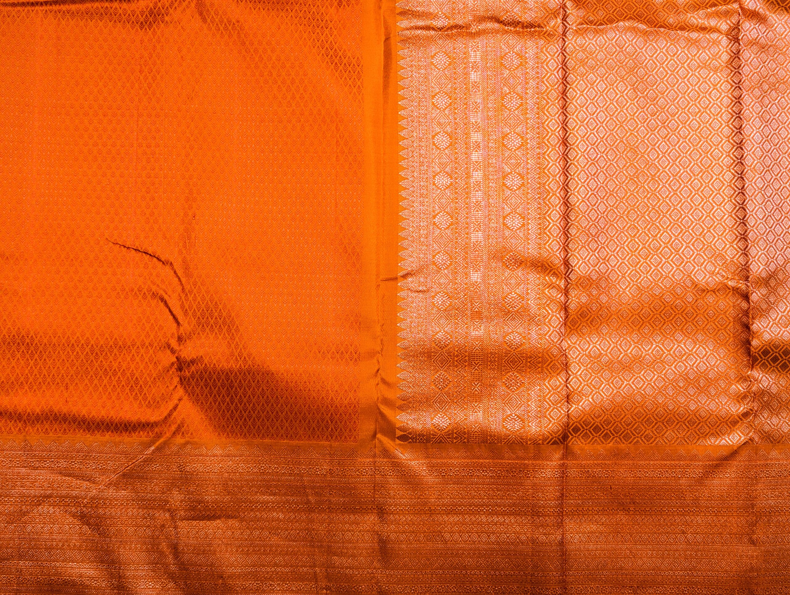 Sun Bloom - Image 7