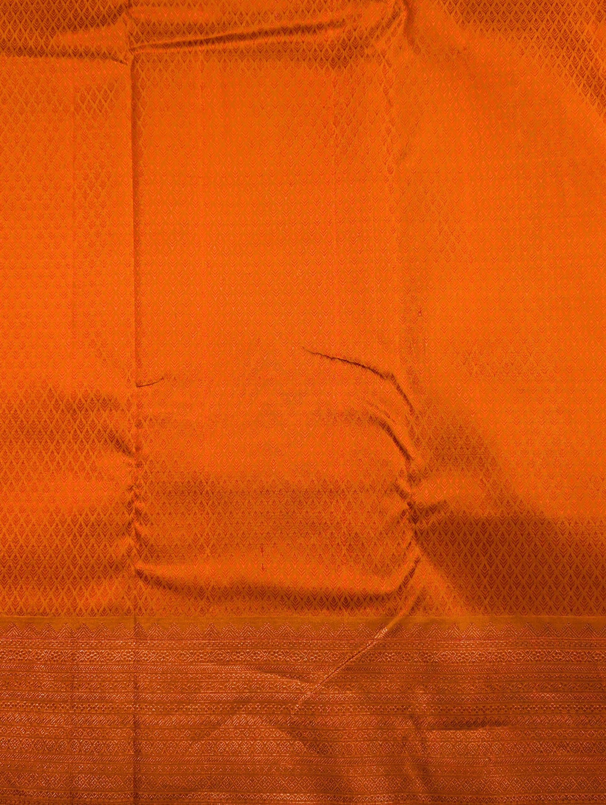 Sun Bloom - Image 5