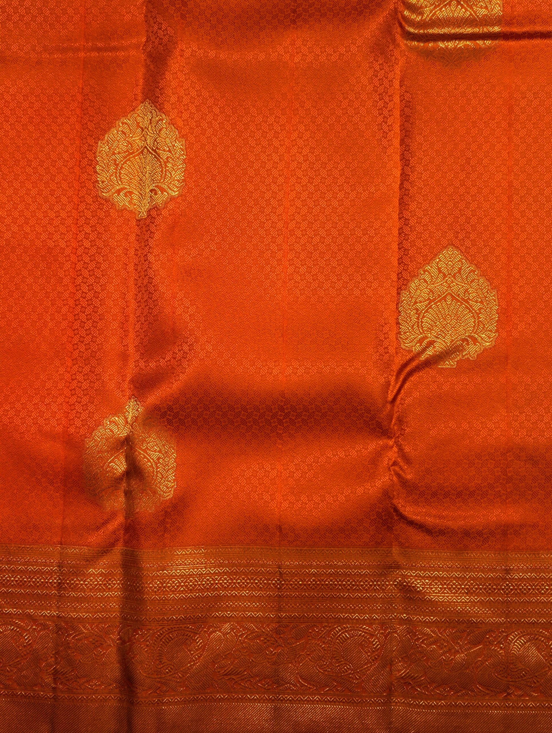 Sweet Sunshine - Image 5