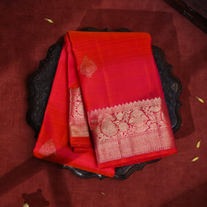 Aarohi Mayil