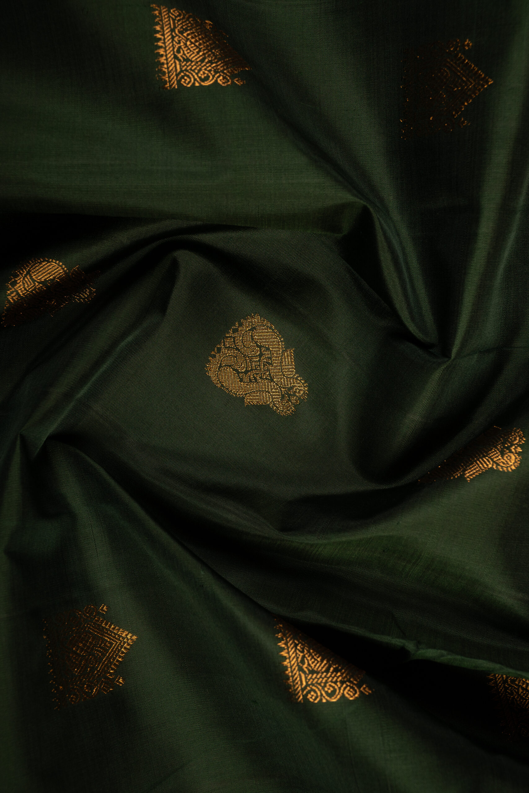 Vana Mayura - Image 2